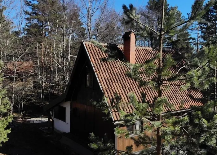 Planinska Kuca Divcibajka * 瓦列沃